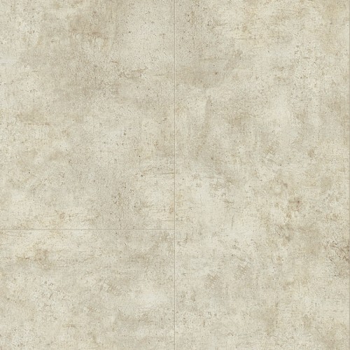 MAGNOLIA ELM